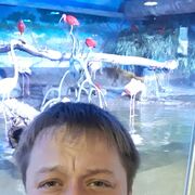 ���������� ������������, ���� ������� �����, 33 ����, ������������ ��� ������, ����� � ���������, c�������� ���������