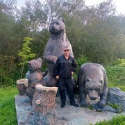  -,   , 39 ,   ,   , c 