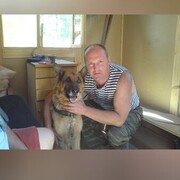 -,   , 54 ,   ,   