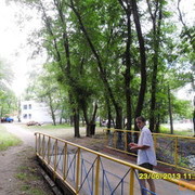 ���������� ����������, ���� ������� ����, 42 ����, ������������ ��� ������