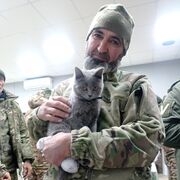 ���������� ���������, ���� ������� �������, 39 ���, ������������ ��� ������, ����� � ���������, c�������� ���������, ���������