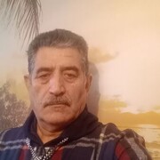 ,   Bakir, 56 ,   ,   