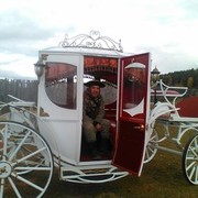 ���������� �����, ���� ������� ������, 65 ���, ������������ ��� ������