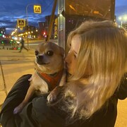 ���������� �����-���������, ���� ������� ������, 21 ���, ������������ ��� ������, ����� � ���������