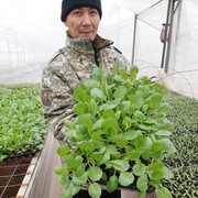 ���������� �������, ���� ������� �����, 44 ����, ������������ 