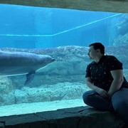 ���������� �������, ������� Nodir, 34