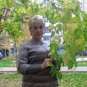 ���������� ������, ���� ������� �������, 55 ���, ������������ ��� ������, ����� � ���������, c�������� ���������