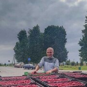 ���������� �������, ���� ������� ����, 41 ���, ������������ ��� ����� � ���������, c�������� ���������, ���������