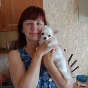 ���������� �������, ������� ����, 60