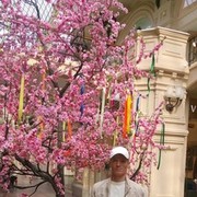   ,   Roman, 44 ,   ,   , c 