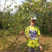 ���������� �����-���������, ���� ������� ������, 39 ���, ������������ ��� c�������� ���������