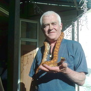 ���������� �����-���������, ���� ������� ������, 70 ���, ������������ ��� ������