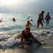 -,   , 51 ,   ,   , c 