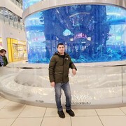  ,   , 33 ,   ,   