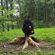 ���������� ���������, ������� ���, 41