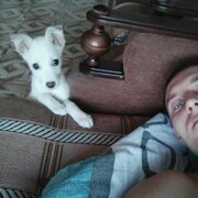 ���������� �������, ������� ����, 31