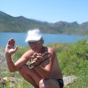  ,   , 62 ,   