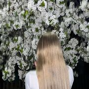 ���������� ������, �����