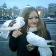 ���������� ����, ���� ������� �������, 29 ���, ������������ ��� ������, ����� � ���������, c�������� ���������