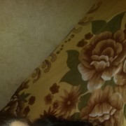 ���������� ����, ���� ������� ����, 39 ���, ������������ ��� ������, ����� � ���������, c�������� ���������