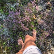 ���������� ������, ���� ������� Di, 35 ���, ������������ ��� ������, ����� � ���������, ���������