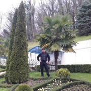  ,   , 43 ,   ,   , c , 
