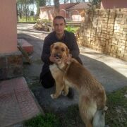  ,   Slavik, 39 ,   ,   , c 