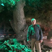  ,   , 50 ,   ,   