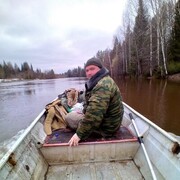 ���������� �����-���������, ���� ������� ��������, 40 ���, ������������ ��� ������, ����� � ���������