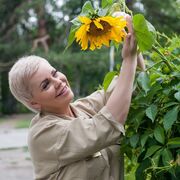 ���������� ���������, ���� ������� ��������, 44 ����, ������������ ��� ������, ����� � ���������, c�������� ���������, ���������