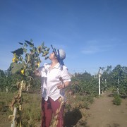  -,   , 55 ,     , c 