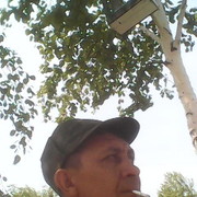  -,   , 48 ,   
