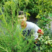 ���������� �����, ���� ������� �����, 33 ����, ������������ ��� ������, ����� � ���������, c�������� ���������