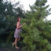 ���������� ������, ���� ������� ����, 38 ���, ������������ ��� ������, ����� � ���������, c�������� ���������, ���������