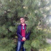 ���������� �����, ���� ������� ����, 43 ����, ������������ ��� ������, ����� � ���������