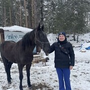 ���������� �����-���������, ���� ������� �������, 37 ���, ������������ ��� ������, ����� � ���������, c�������� ���������