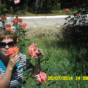 ���������� ���������, ���� ������� �����, 46 ���, ������������ ��� ������, ����� � ���������, c�������� ���������