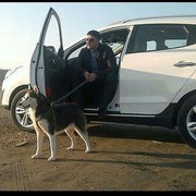 ���������� ����, ���� ������� Tamerlan, 37 ���, ������������ ��� ������, ����� � ���������, c�������� ���������