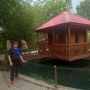 ���������� �����, ���� ������� ������, 38 ���, ������������ ��� ������, ����� � ���������, c�������� ���������