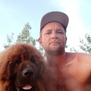 ���������� ������, ���� ������� ���������, 40 ���, ������������ ��� ������, ����� � ���������, c�������� ���������