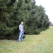  ,   , 42 ,   ,   , c 