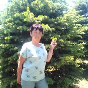  ,   , 63 ,   ,   