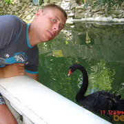 ���������� ��������, ���� ������� Zenuk, 38 ���, ������������ ��� ������, ����� � ���������, c�������� ���������