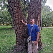 ���������� ������, ���� ������� �����������, 54 ����, ������������ ��� c�������� ���������