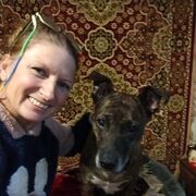  ,   , 49 ,     , c , 