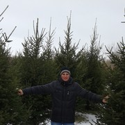 ���������� ����-�����������, ���� ������� ����, 37 ���, ������������ ��� ������, ����� � ���������, c�������� ���������