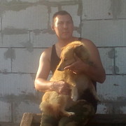 ���������� �������, ���� ������� ������, 39 ���, ������������ ��� ������, ����� � ���������, c�������� ���������