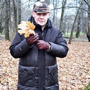 ���������� ���������, ���� ������� �����, 53 ����, ������������ ��� ������, ����� � ���������, ���������