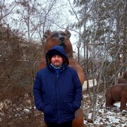  ,   , 36 ,   c , 