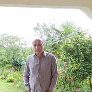 ���������� �������, ���� ������� Gio, 45 ���, ������������ ��� ������, ����� � ���������